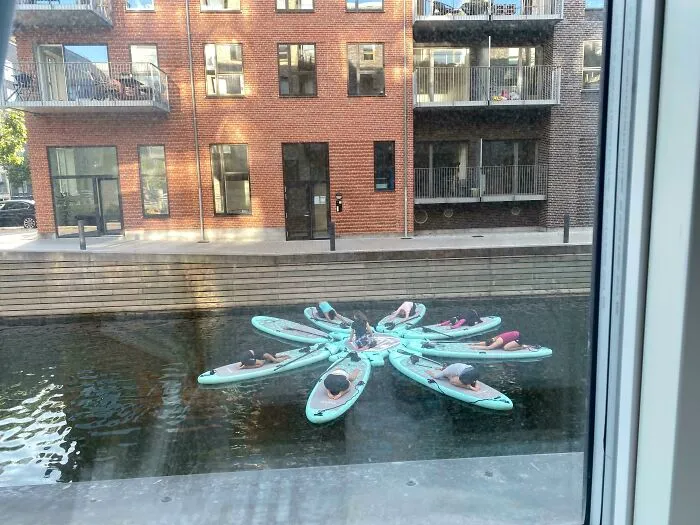 People practicing yoga on stand-up paddleboards arranged in a flower shape on water, showcasing impressive country implementations.