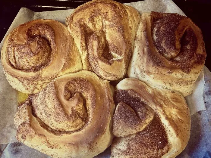 Overbaked cinnamon rolls with uneven shapes, showing how people managed to ruin dessert in unexpected ways.