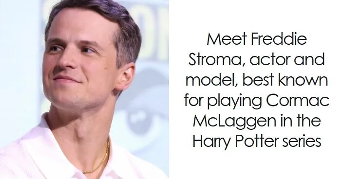 Freddie Stroma: Bio And Career Highlights