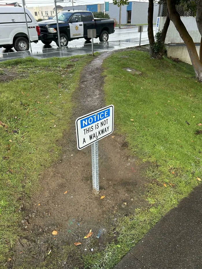 If Not Path, Then Why Path-Shaped?