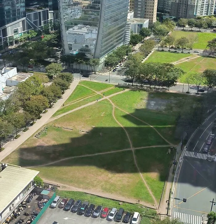 View From My Office Building