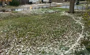 94 “Desire Paths” That Show Human Stubbornness In The Nicest Way Possible (New Pics)