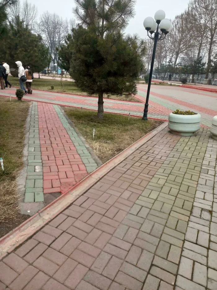 City park showing desire paths where people walk off planned sidewalks, illustrating urban planning versus real use.