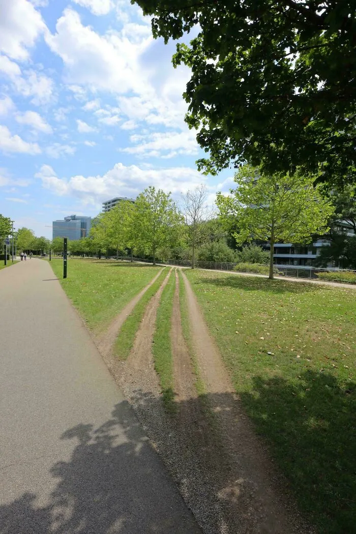 Desire paths formed in a city park showing how people walk differently from planned paved sidewalks on a sunny day.