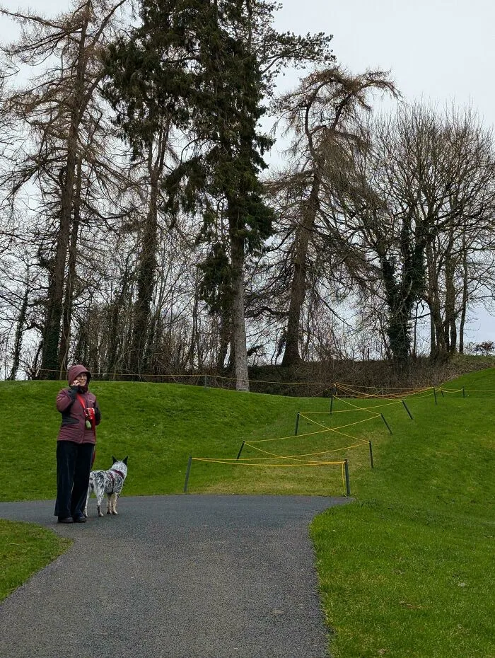 Person with dog standing by a paved path blocked by barriers, next to a grassy desire path creating an alternate route.