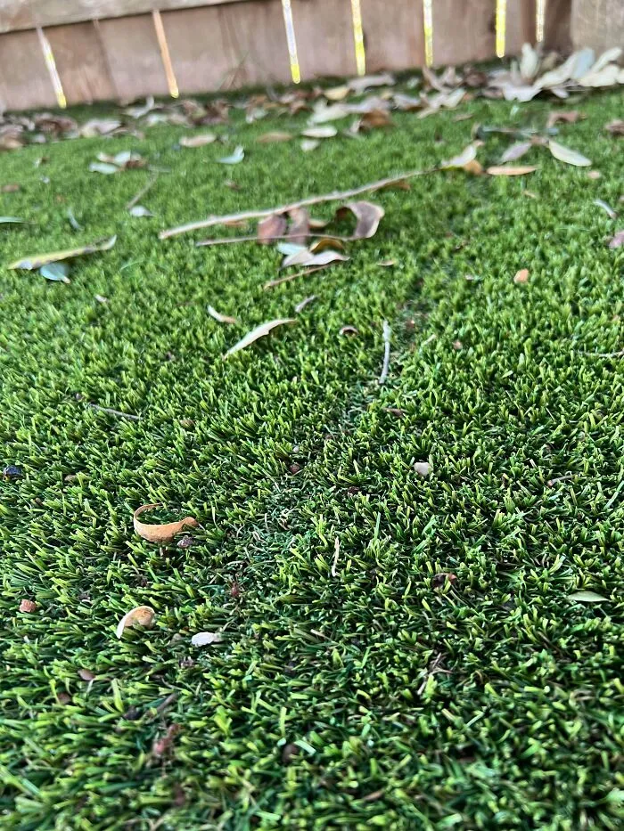 Narrow desire path worn through artificial grass with scattered dry leaves near a wooden fence.