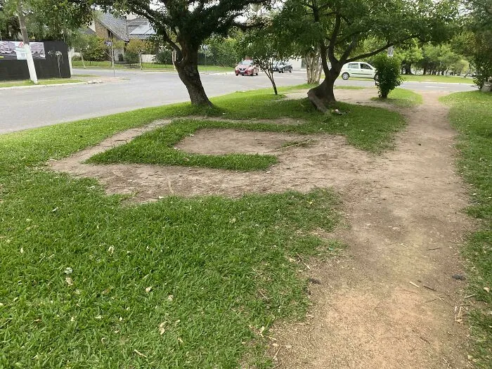 Desire paths crossing a grassy area near a street, showing how people walk differently from planned city paths.