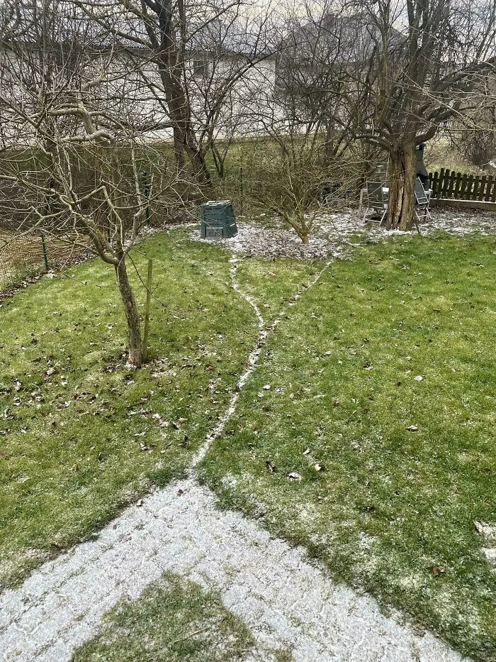 Desire paths in a snowy backyard showing how people create informal walkways through grass around trees and garden structures.