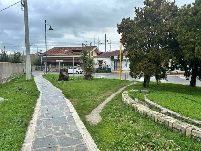 Quién iba a pensar que la gente va a los pasos de cebra