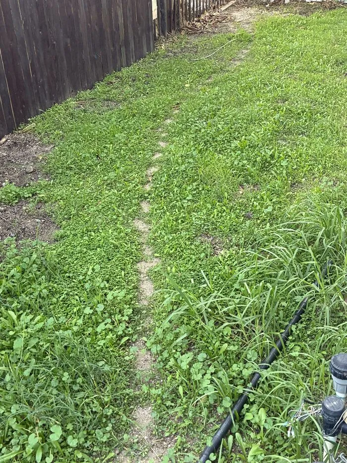 A narrow desire path worn through grass along a wooden fence showing how people walk in reality.