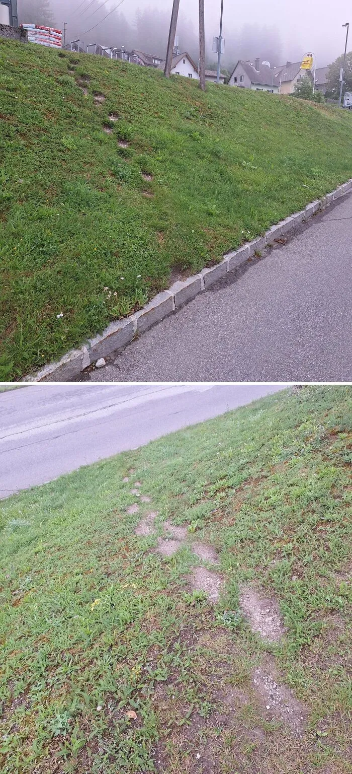 ¿Escalera del deseo?