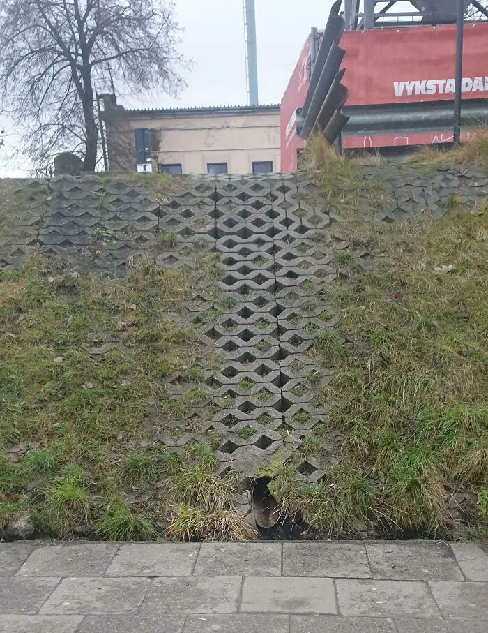 Worn desire path through urban grass and stone slope showing how people walk in reality versus city plans.