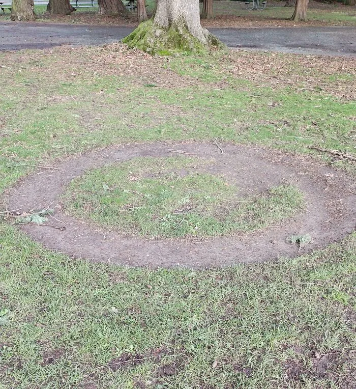 Hay un tipo en el parque que siempre hace tai chi y ha dejado este círculo en el suelo