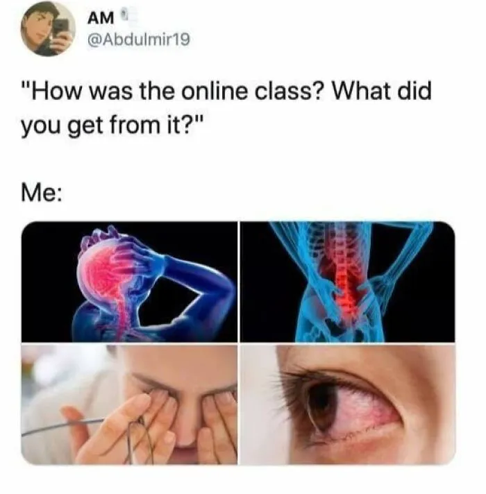 Meme showing physical pain from online class with images of headache, back pain, eye strain, and red eyes humor healthcare expenses.