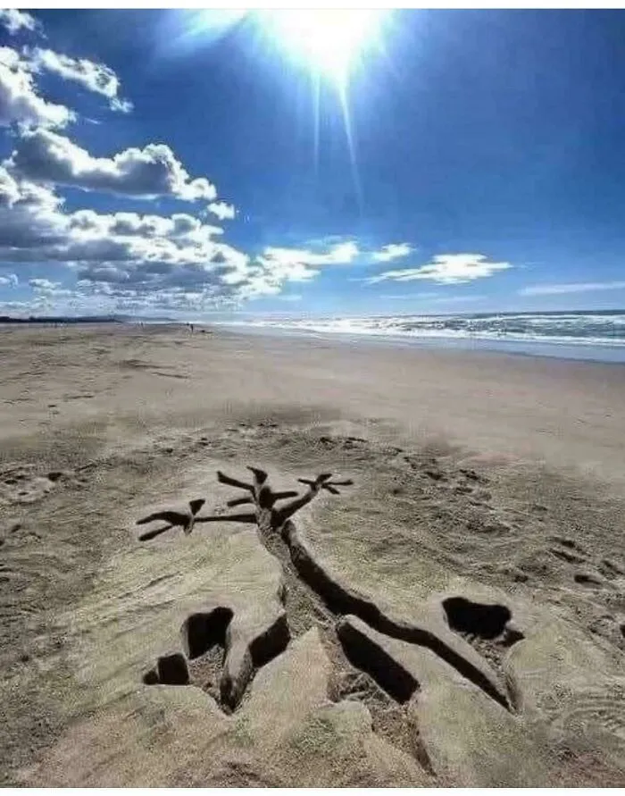 Si te suena, quizá aprecies esta imagen