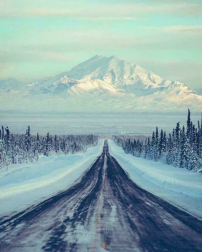 Snow-covered road leading to mountains with frosted trees on either side, capturing cozy winter nature scenes.