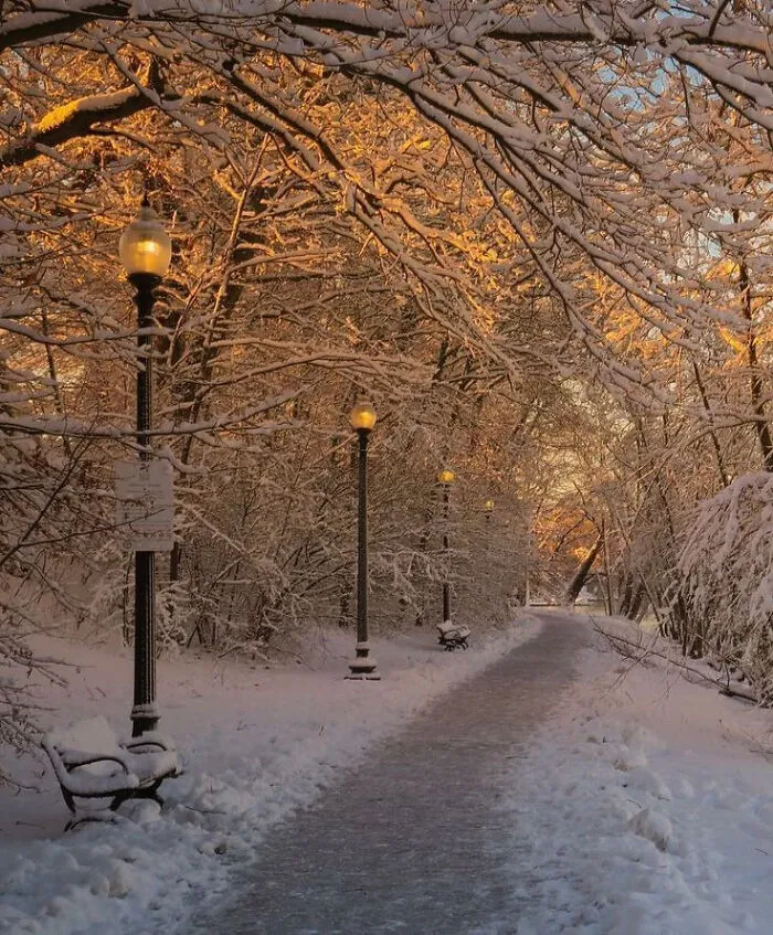 Nieve y luz
