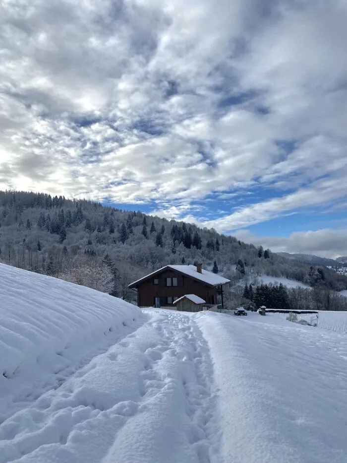 Snow-covered path leading to a cozy wooden cabin surrounded by winter trees under a cloudy blue sky, winter cozy images.