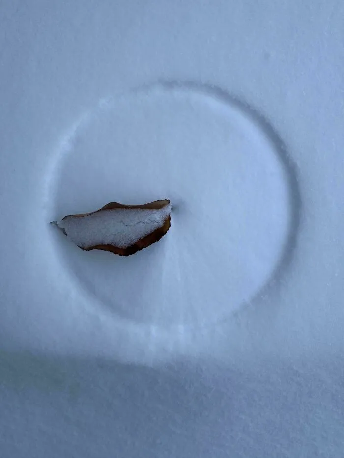 Una hoja talla un círculo perfecto en la nieve al girar con el viento