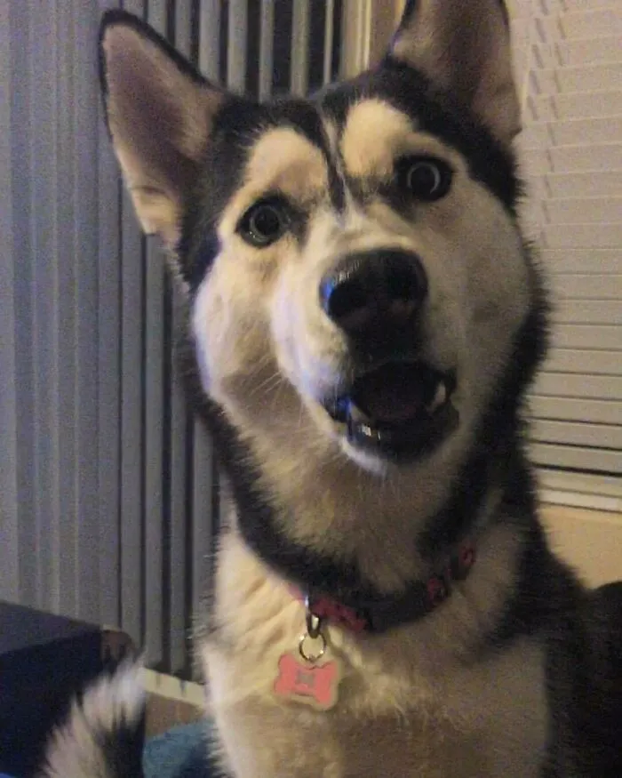 When I Didn't Give Her The Last Bite Of My Burger