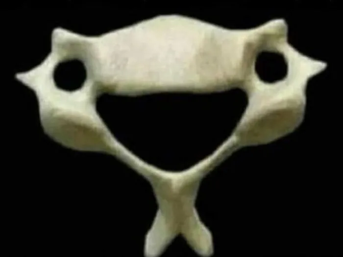 50 Medical Pics That Are Weirdly Mesmerizing And Slightly Disturbing