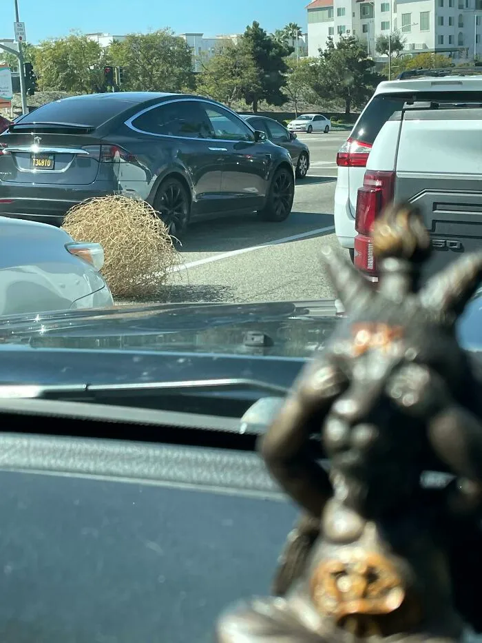 Silly Tumbleweed, You’re Not A Motor Vehicle
