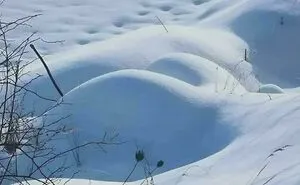 40 Cozy Images Of This Year’s Winter To Enjoy Without Stepping Into The Cold