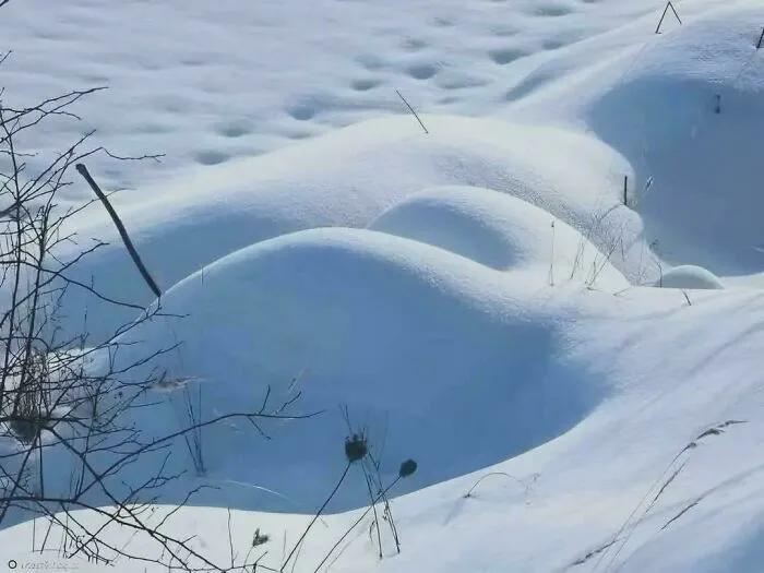 Snow
