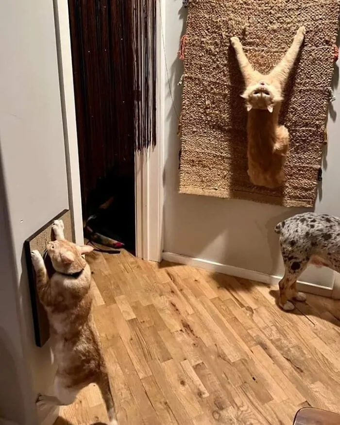 This Looks Like An Art Installation