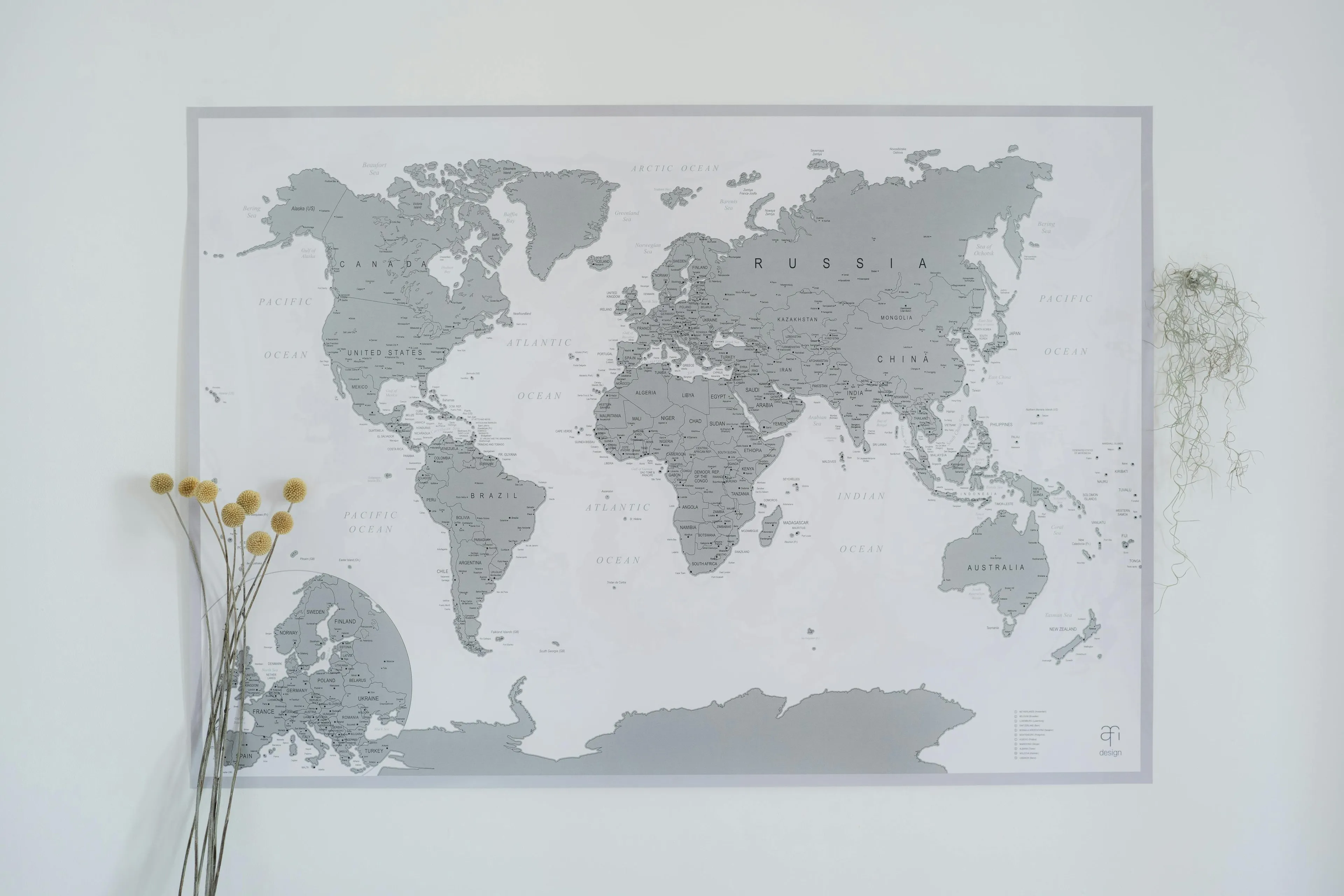 Gray world map poster on white wall with dried flowers and decor, featuring deadly decoys of capital cities quiz.