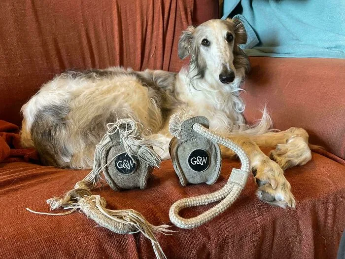 Dog lying on a couch next to worn down everyday objects showing unexpected wear and tear on fabric toys.