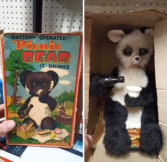 Oso a pilas que bebe