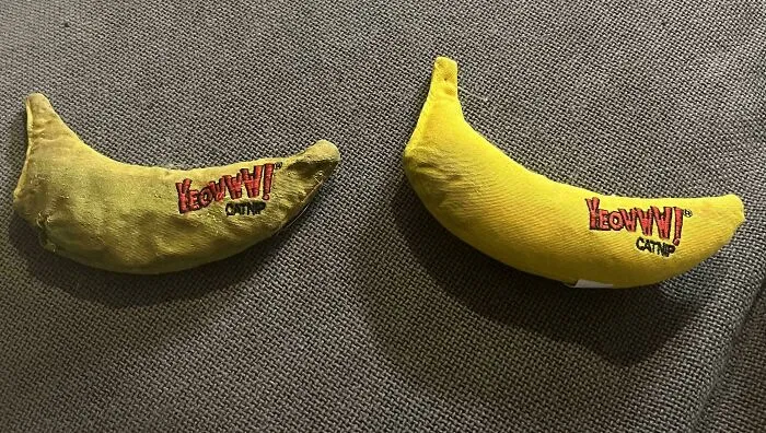 Two catnip banana toys side by side showing worn down fabric and vibrant new condition on gray textured surface, everyday objects.
