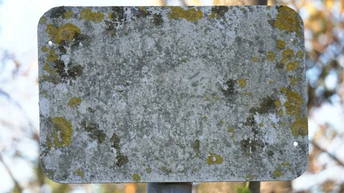 Faded and worn down metal sign covered in moss and lichen, showing everyday objects weathered in unexpected ways.