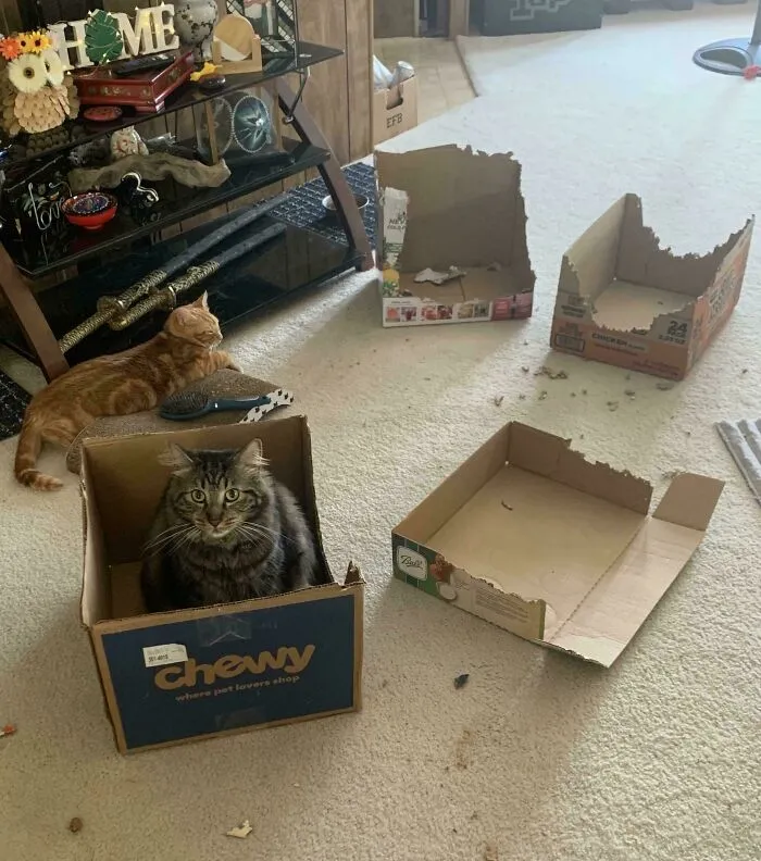 Maximum Overdrive And His Box Habit