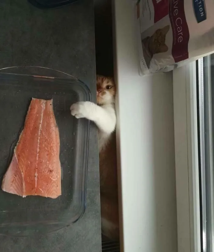 Mission Busted