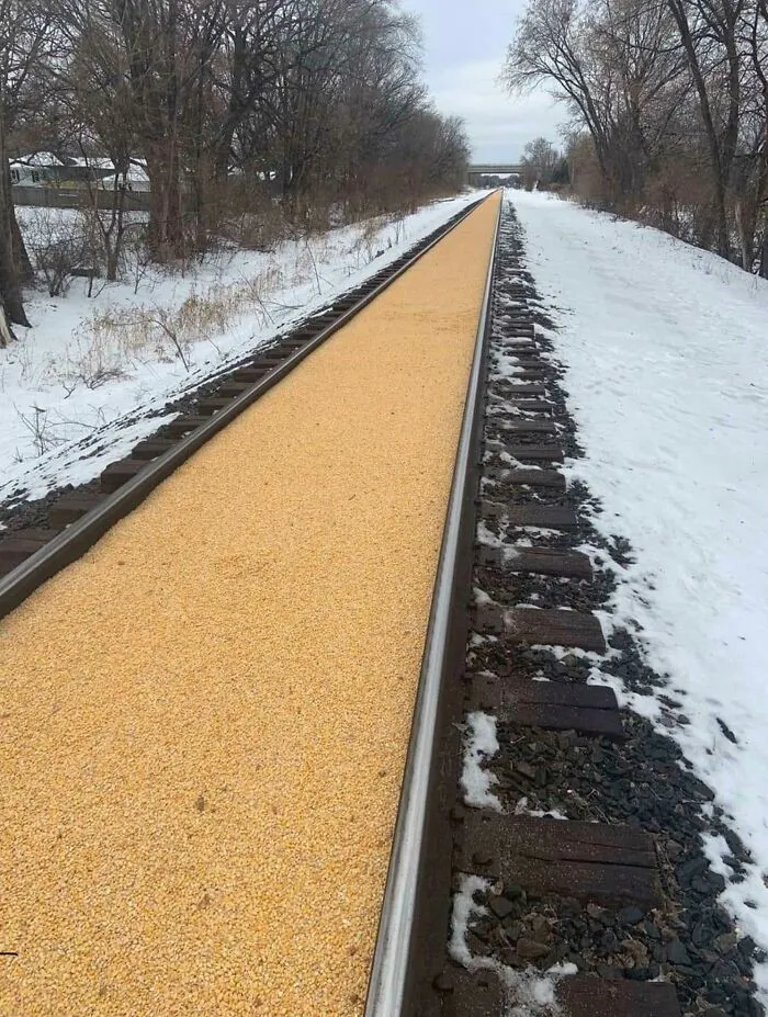 Un vagón de tren que transportaba maíz en Minnesota tuvo una fuga