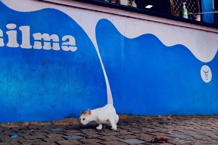 35 New And Captivating Street Photos That Showcase Life’s Unexpected Moments