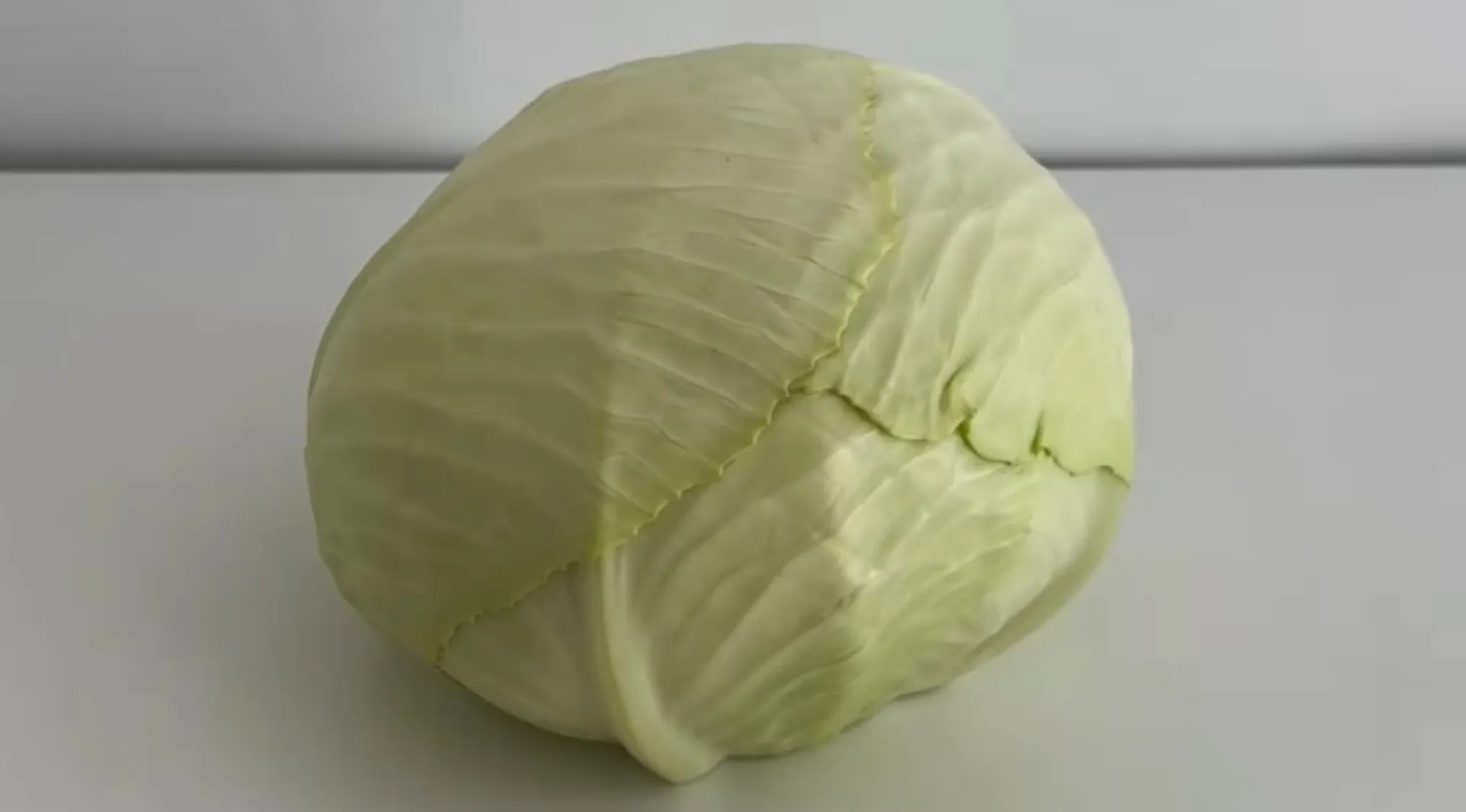 Realistic cabbage with light green textured leaves on a plain white surface showing cake or real cabbage question.