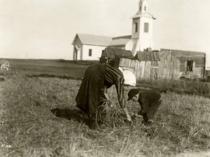 Una mujer pobre y su hijo recogiendo espigas (recogiendo los restos de la cosecha). Pajala, Suecia, 1918.