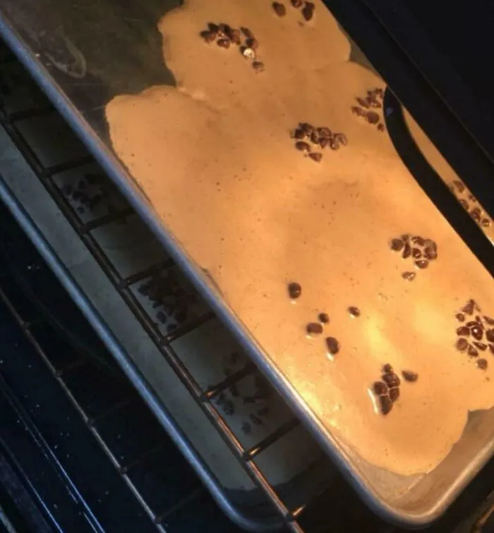 My Sister Forgot The Dry Ingredients