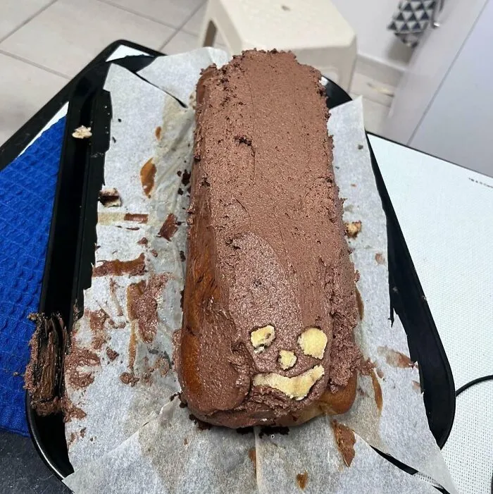 The Icing Went Wrong So I Turned The Cake Into A Worm