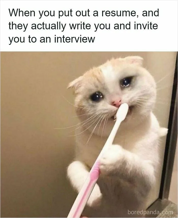 53 Hilarious Resume Memes That Might Be Painfully Relatable