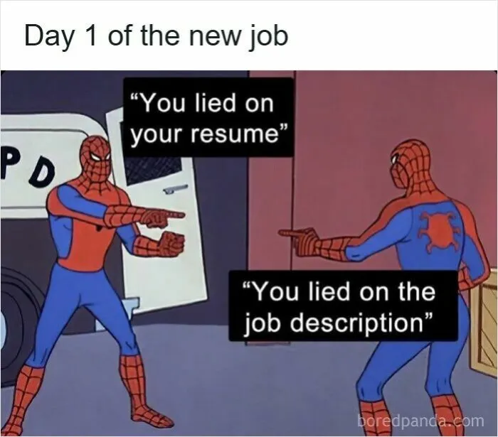 53 Hilarious Resume Memes That Might Be Painfully Relatable