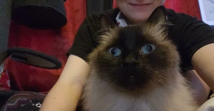 Those Eyes Tho