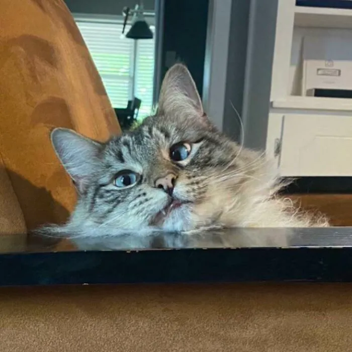 This Guy… The Derpiest