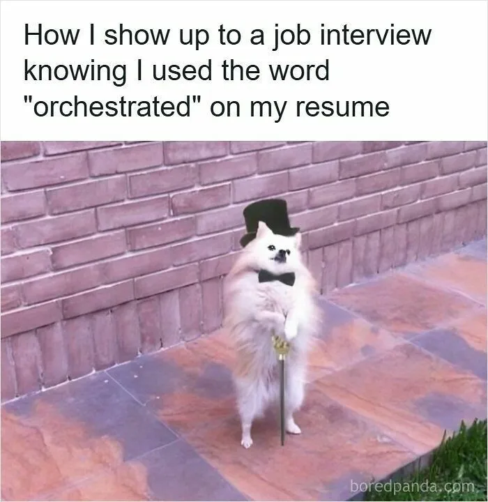 53 Hilarious Resume Memes That Might Be Painfully Relatable