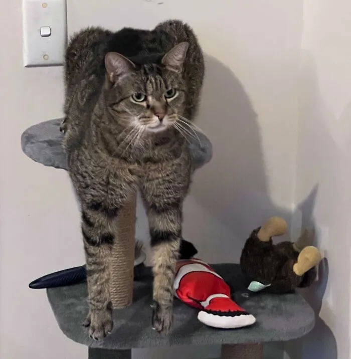 He Sits Like That For Hours