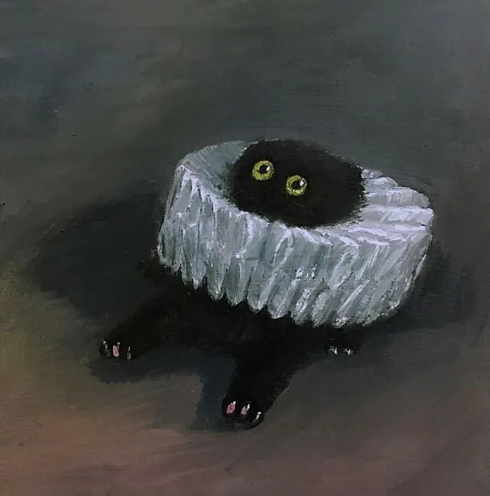 This Cat Has Seen Things