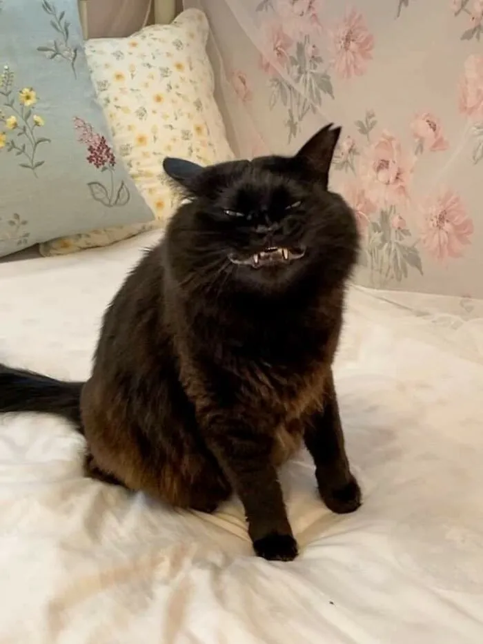Huurrgghh